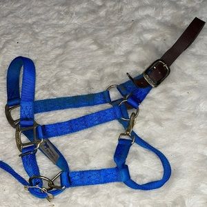 Hamilton Nylon Breakaway Halter